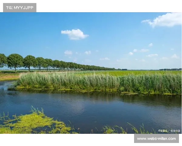 环崇明岛生态赛道串联十七乡镇展现东滩湿地绿色魅力之旅 环崇明岛生态赛道串联十七乡镇展现东滩湿地绿色魅力之旅